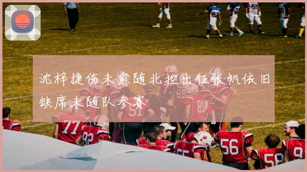 沈梓捷伤未愈随北控出征张帆依旧缺席未随队参赛